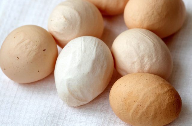 Кривое, вытянутое или сплюснутое яйцо чаще связано не с дефицитом, а со стрессом или сбоем в работе яйцевода. Испуг, шум, драки в стаде и резкие перемены легко отражаются на форме следующей кладки.