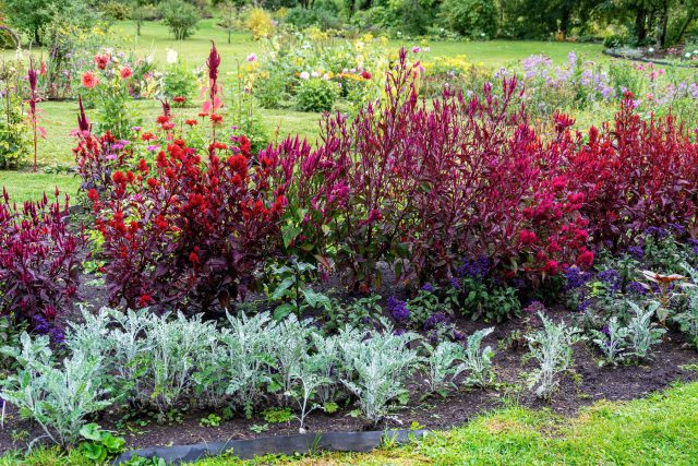 Слишком много акцентов убивают идею. Когда всё кричит одновременно, глаз не цепляется ни за что. Один-два сильных солиста в момент времени создают порядок и ощущение продуманности.