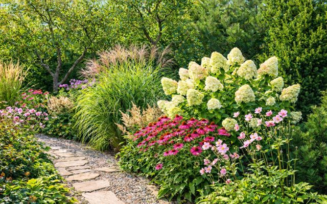 Как сделать так, чтобы цветник не пустовал круглый год — растения по месяцам