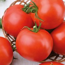 Томат Капитан F1