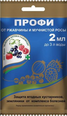 «Профи» – это профилактический и лечебный системный фунгицид, который подавляет возбудителей основных болезней ягодных культур