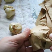 Выкапывая луковицы на хранение тщательно перебираем их и качественно просушиваем Выкапывая луковицы на хранение тщательно перебираем их и качественно просушиваем