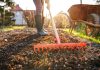 Что посадить после чеснока: лучшие варианты для урожая и плодородия почвы