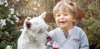 Чем нельзя кормить собак и кошек летом: самые вредные «угощения»