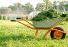 Компост из скошенной травы: как получить качественное удобрение - Блоги компаний Компост из скошенной травы: как получить качественное удобрение